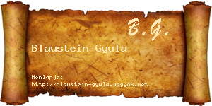 Blaustein Gyula névjegykártya